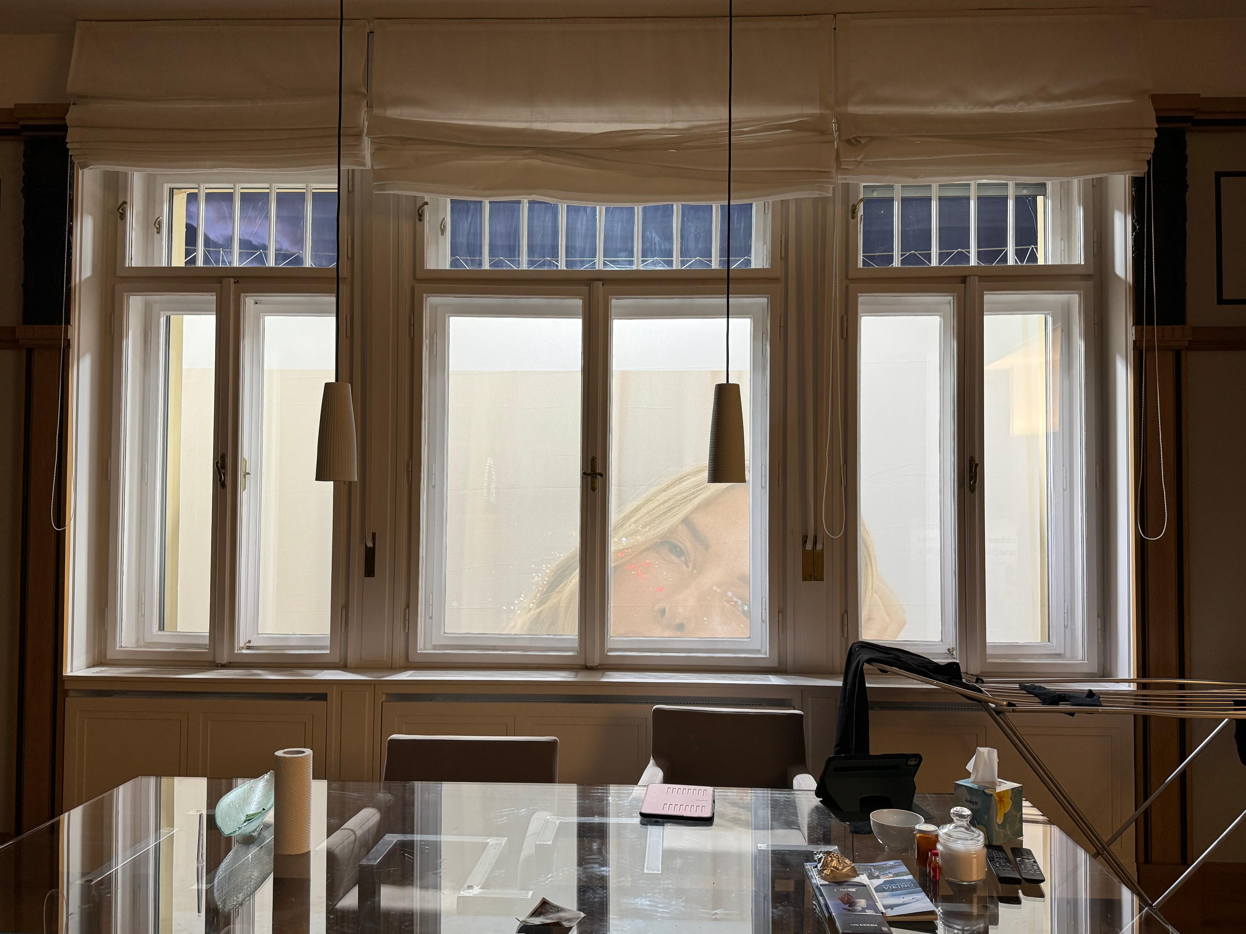 View out of living room window (not as pictured in apartment description)