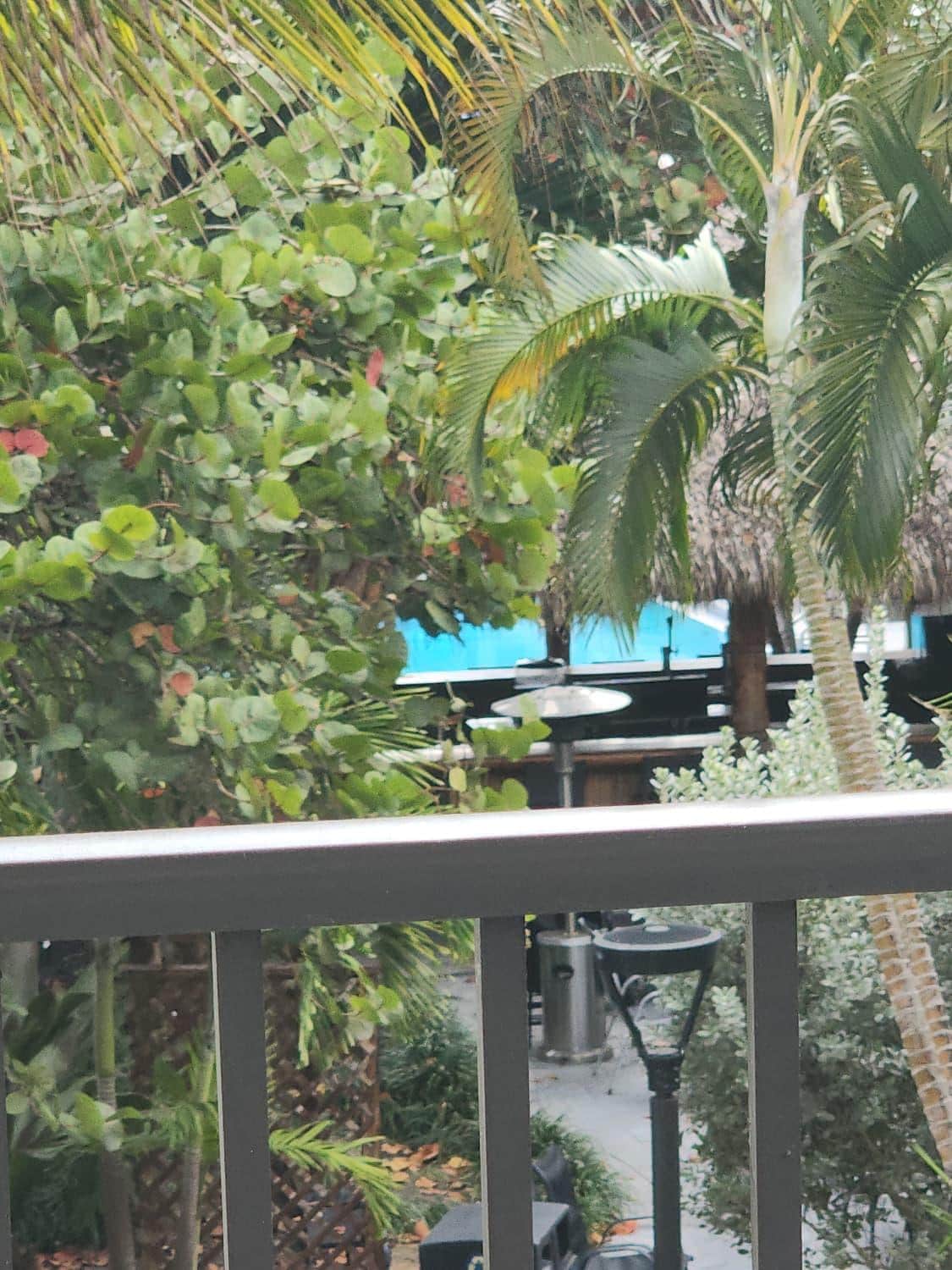 View of the pool from our huge balcony 