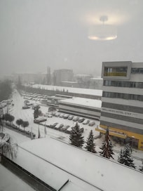 Dalla finestra della camera