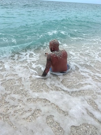 Beautiful gulf beach full of shells/shark teeth
