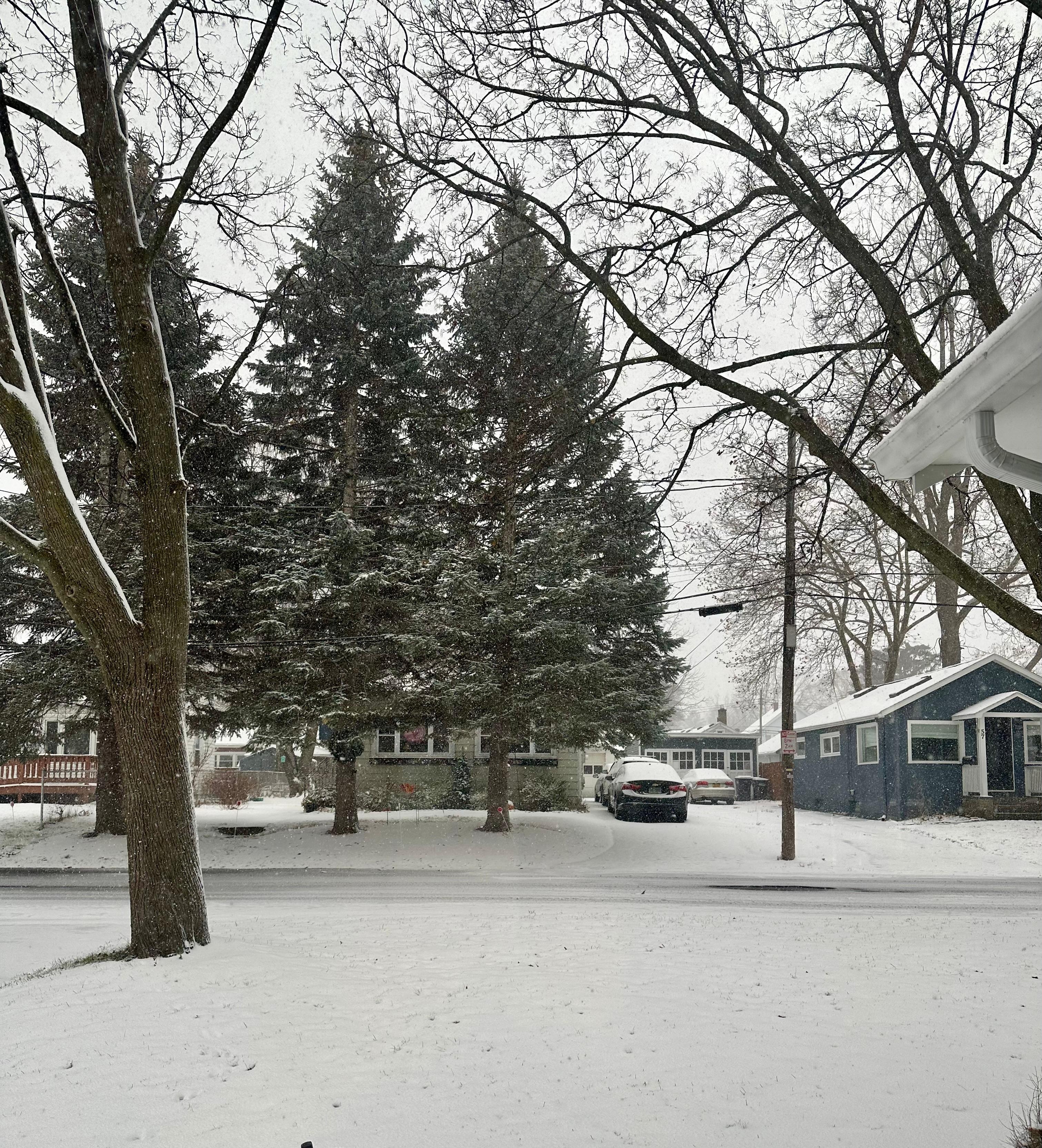 Beautiful view from window! 