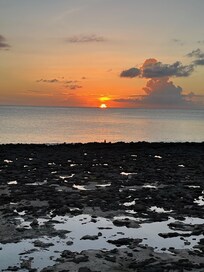 There is a rocky reef alongside portions of this property's shoreline, making for amazing tidepools for kids (and adults) to explore marine life up close