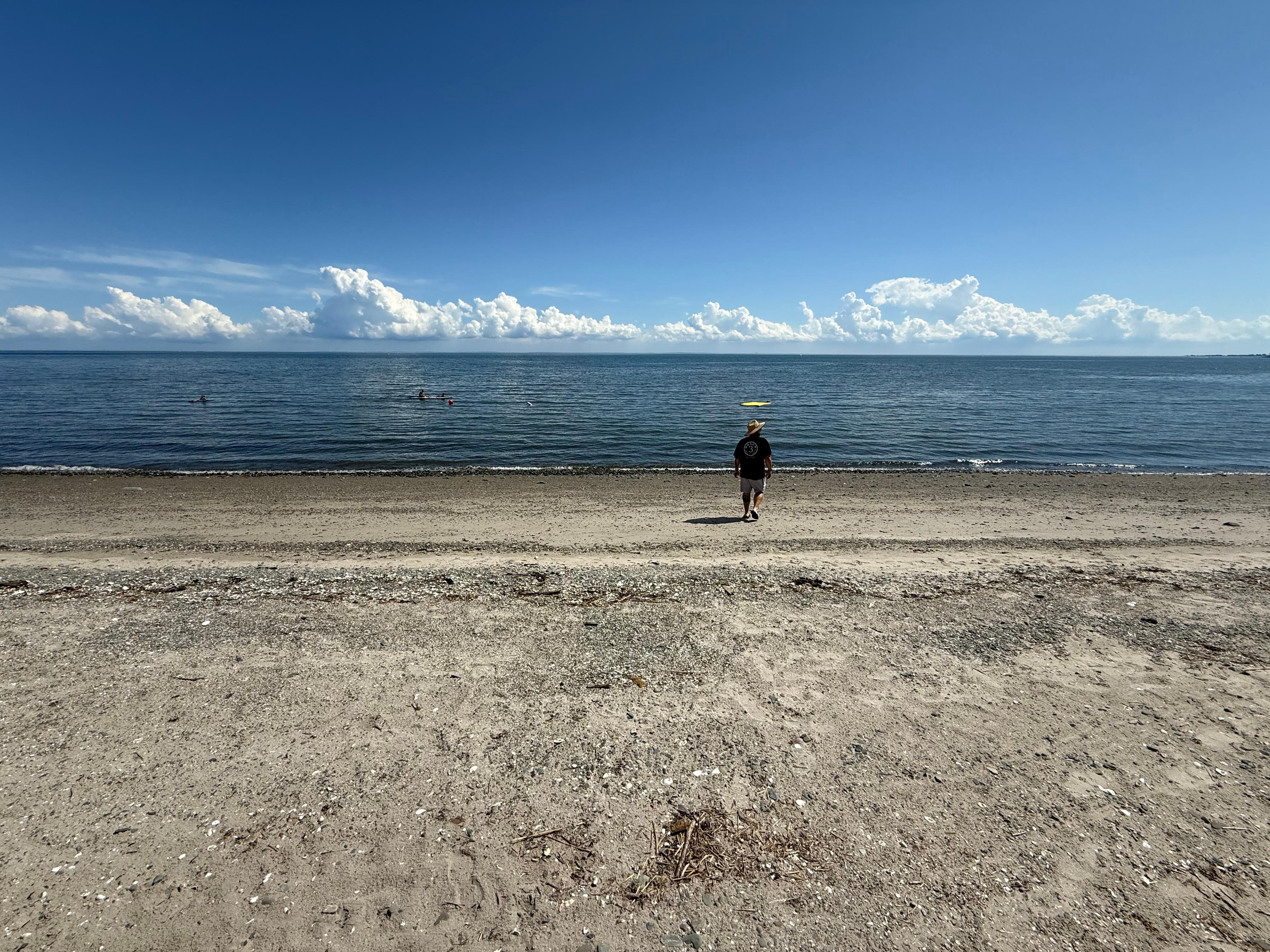 The beach 