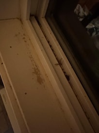 Horribly gross window seals.