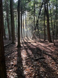 Old Indian Trail