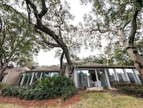 fun backyard, with lots of ducks and one armadillo!