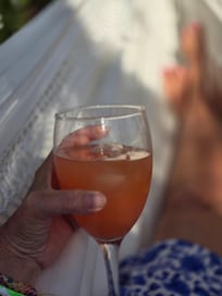 Loved this comfortable hammock, lots of birds and butterflies to watch