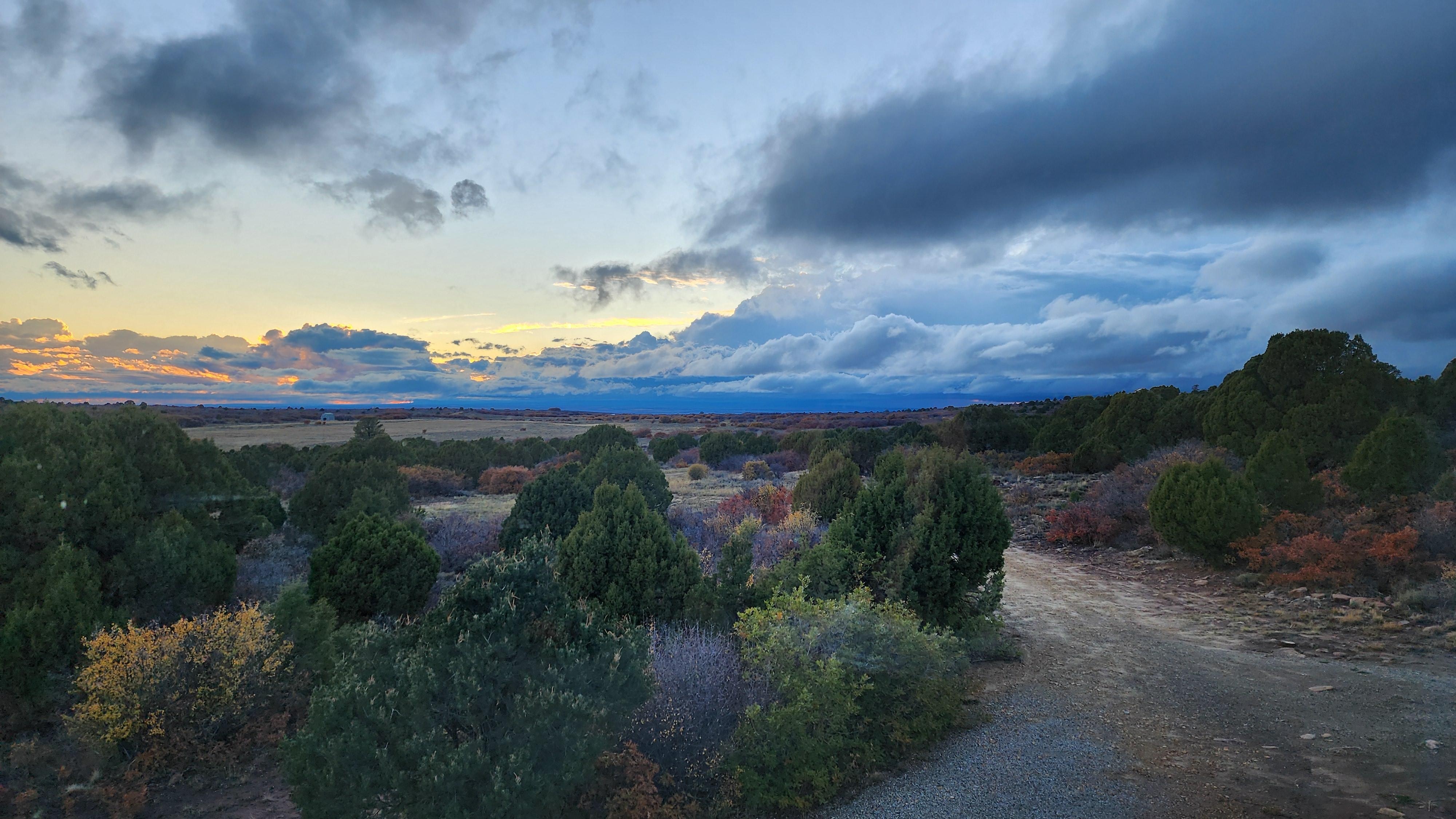 View from Master Bedroom