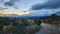 View from Master Bedroom