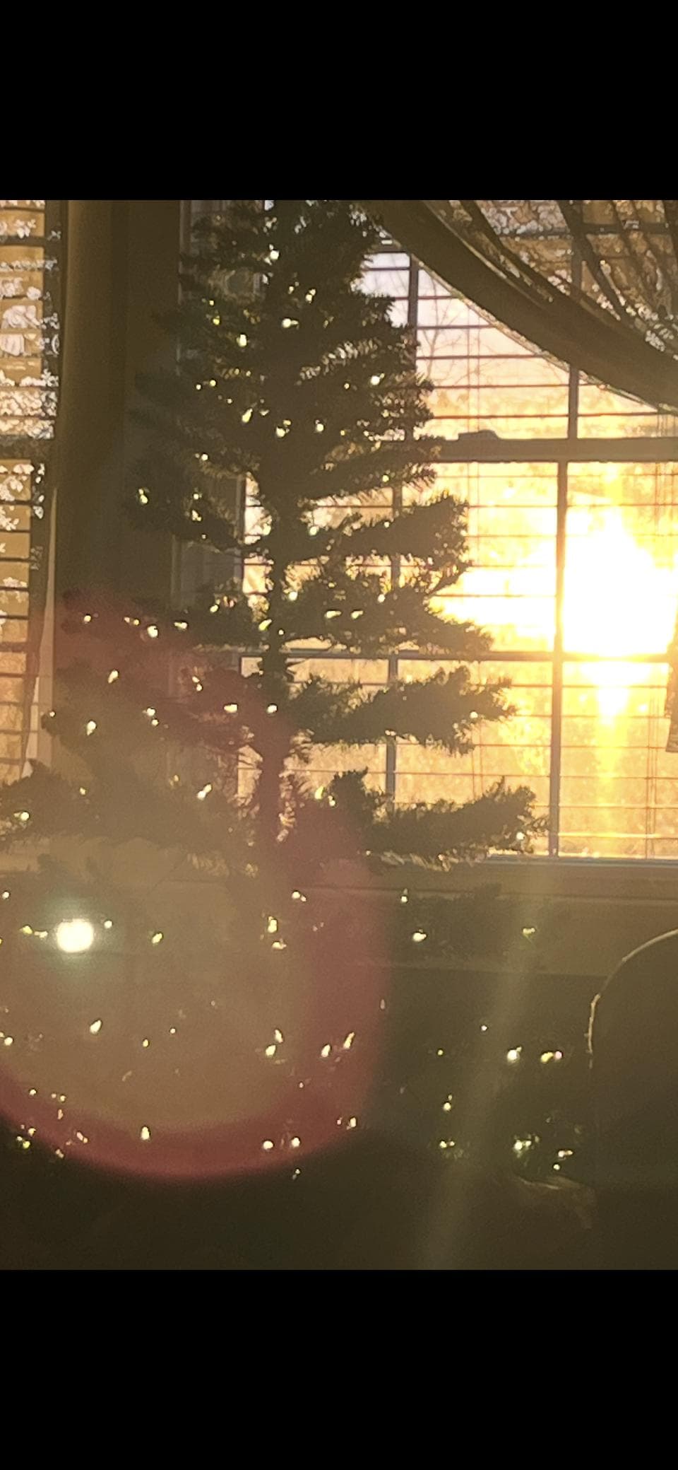 Christmas Sunrise