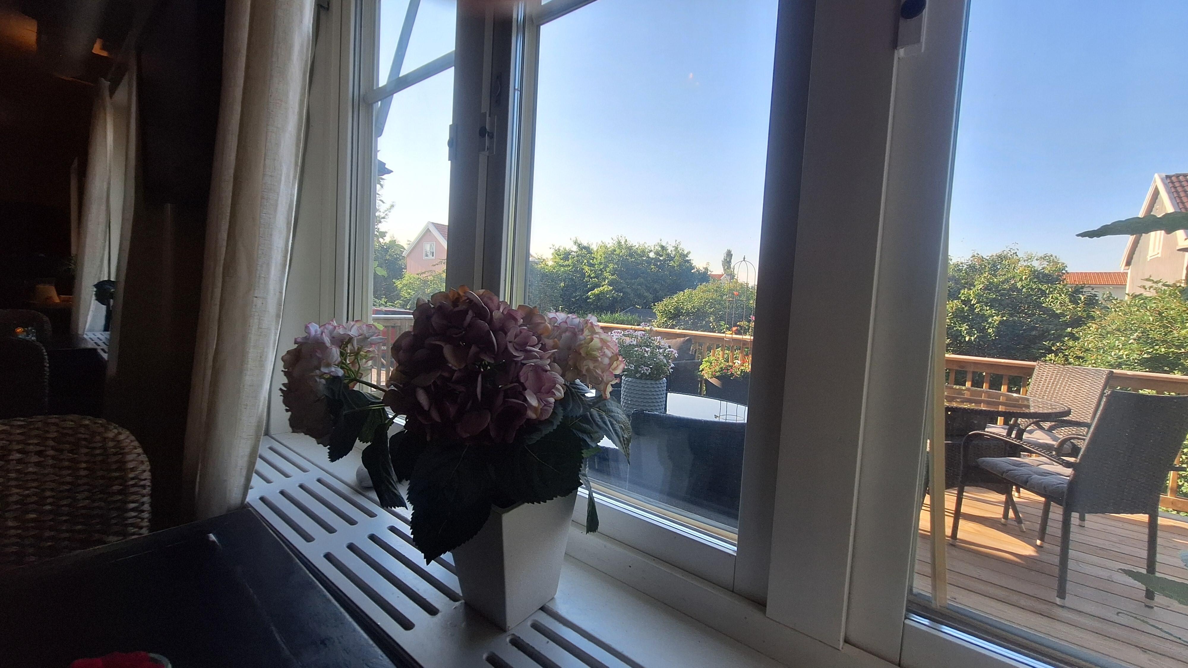 View from inside dinning room