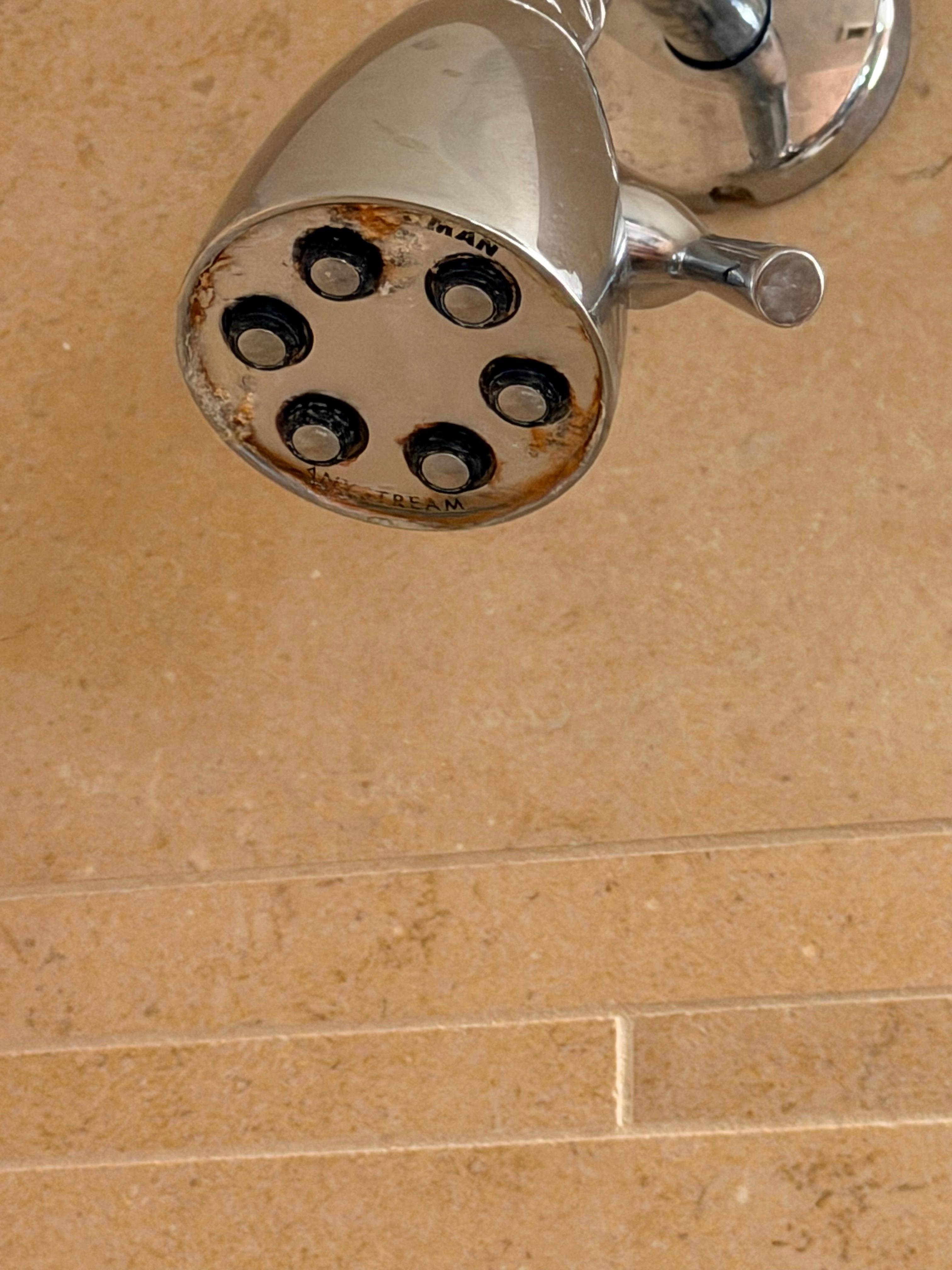 Dirty residue filled shower head 