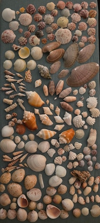 This is only about half of what we collected, had to pick the best for the Pic.