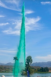 The fountain on the St. Patrick Day celebration in the park.
