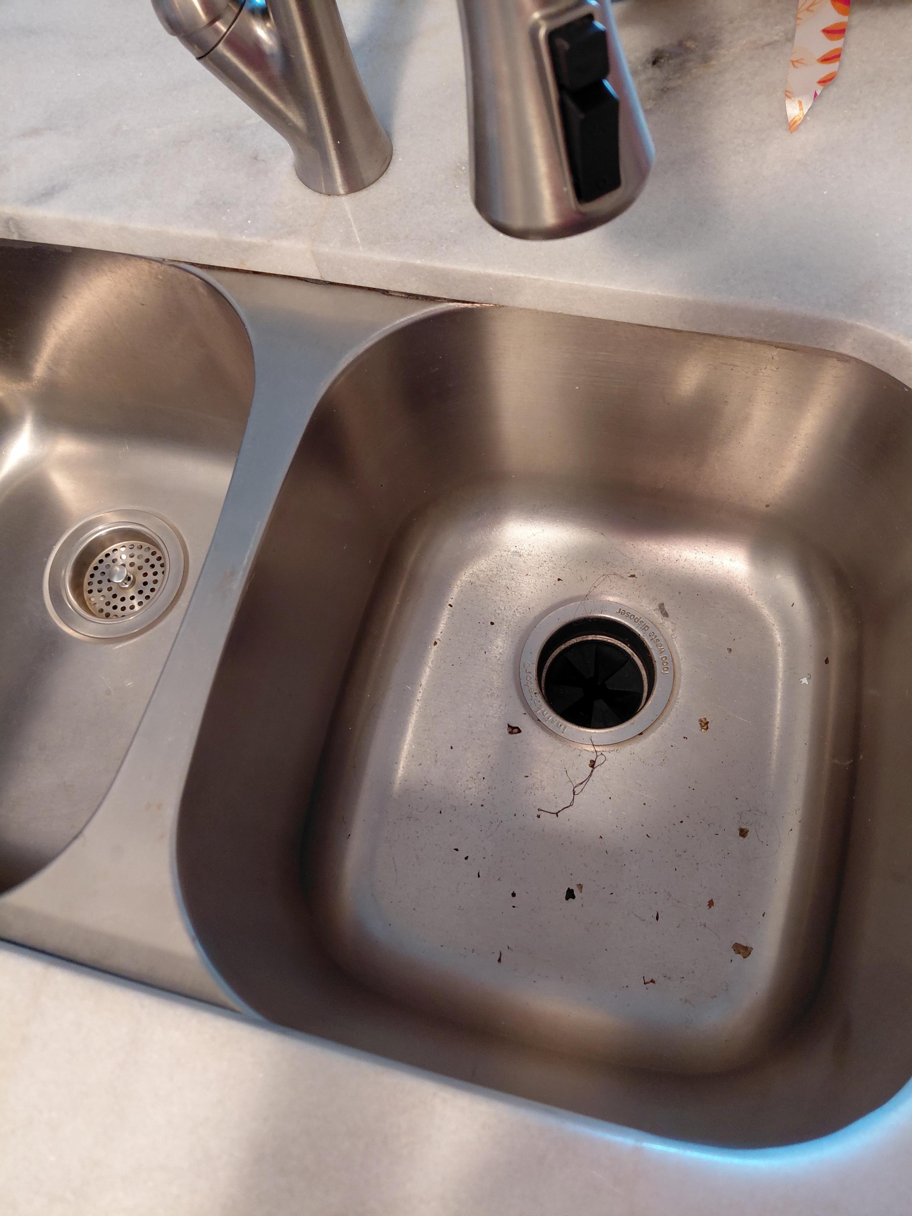 Dirty sink/ no garbage disposal 