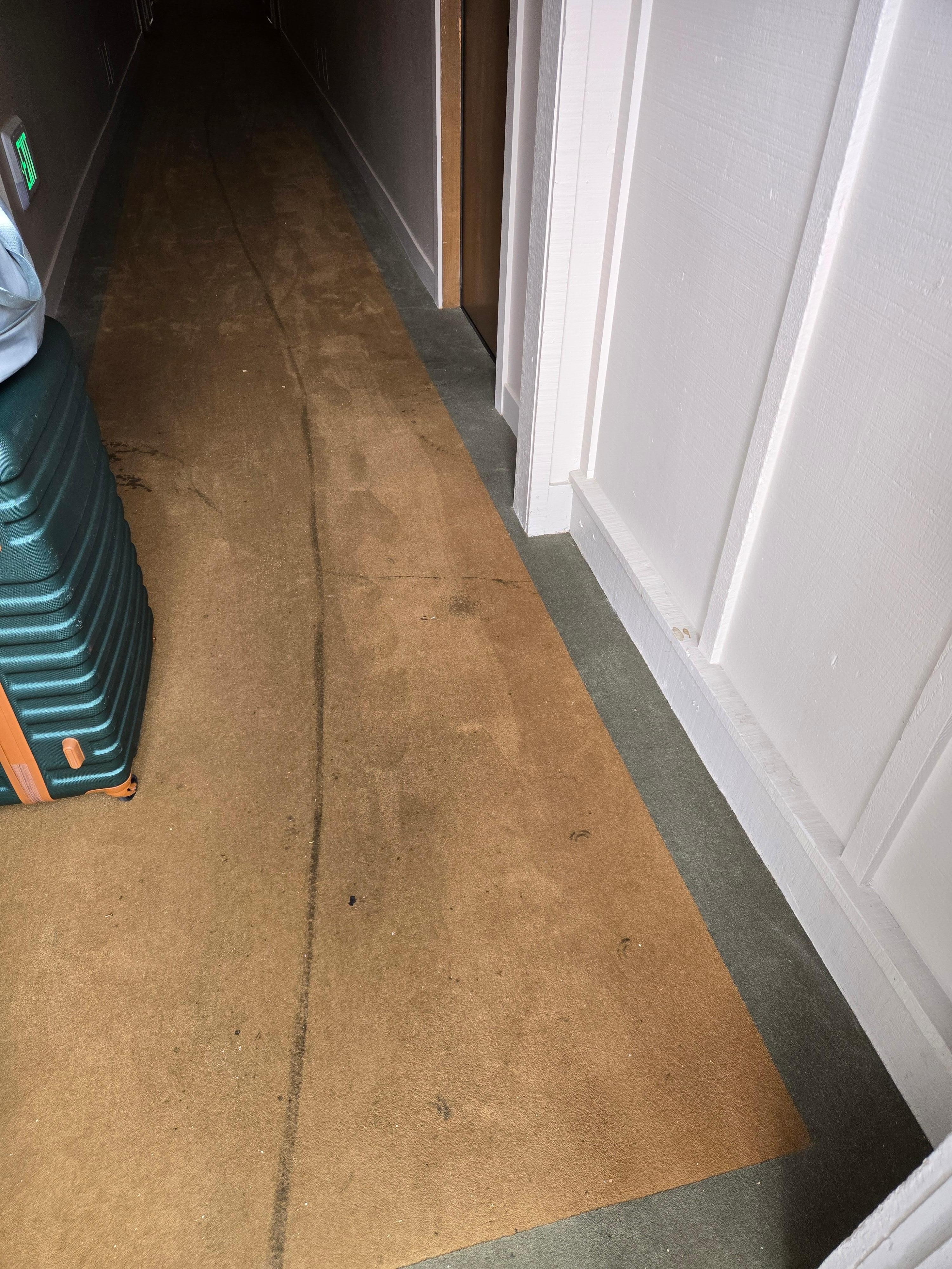 Dirty smelly stained carpet.