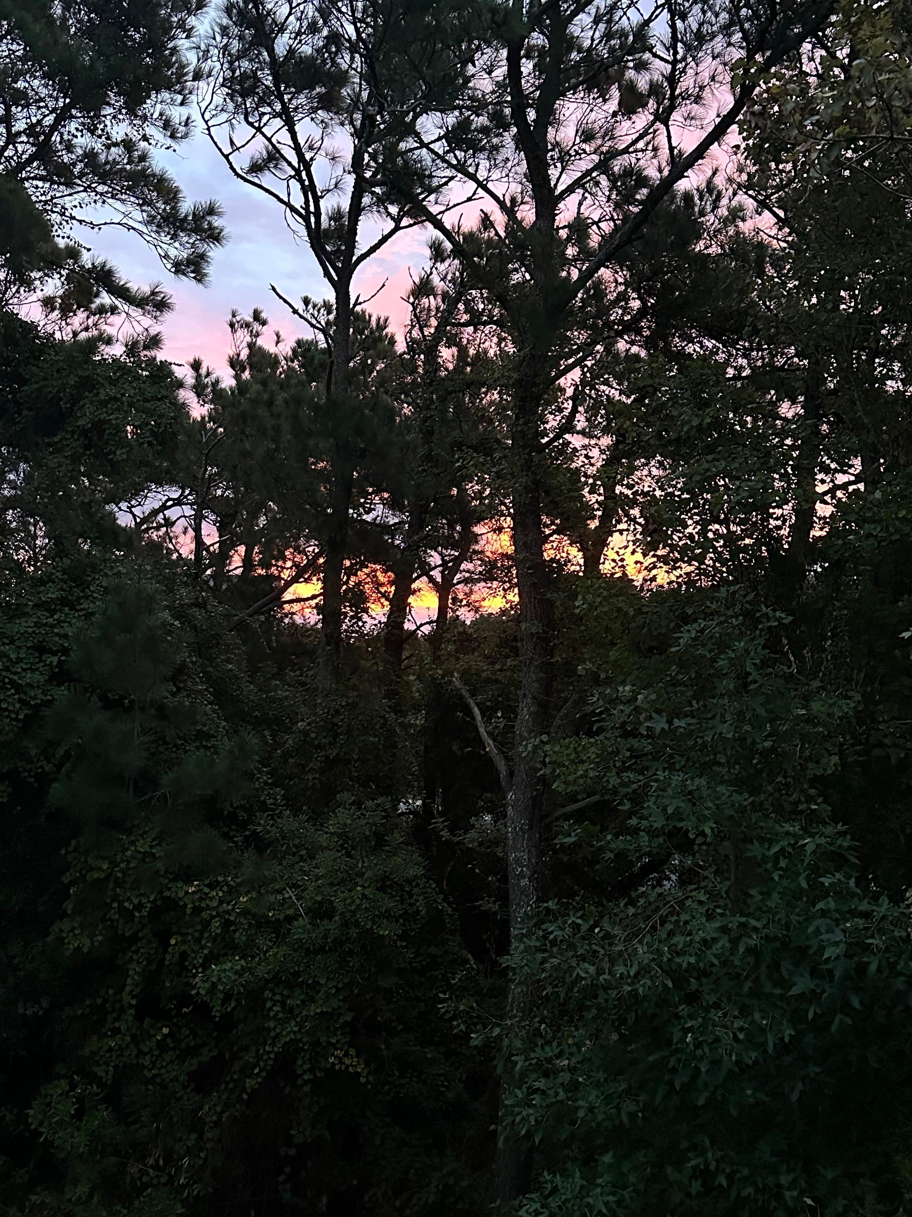 Beautiful sunrise view from the deck