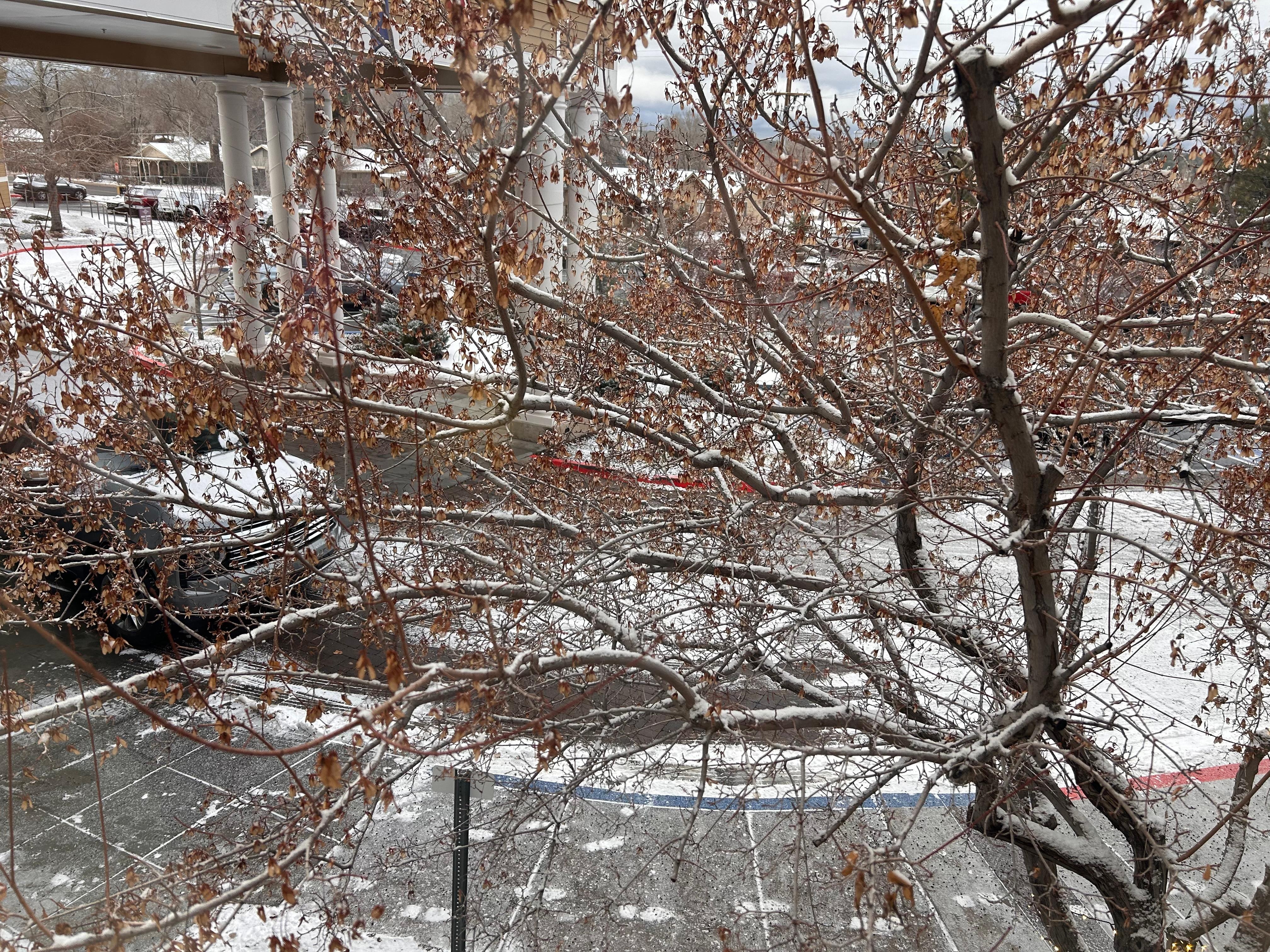 View of the entrance. Snowed the day we left. 