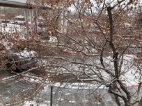 View of the entrance. Snowed the day we left.