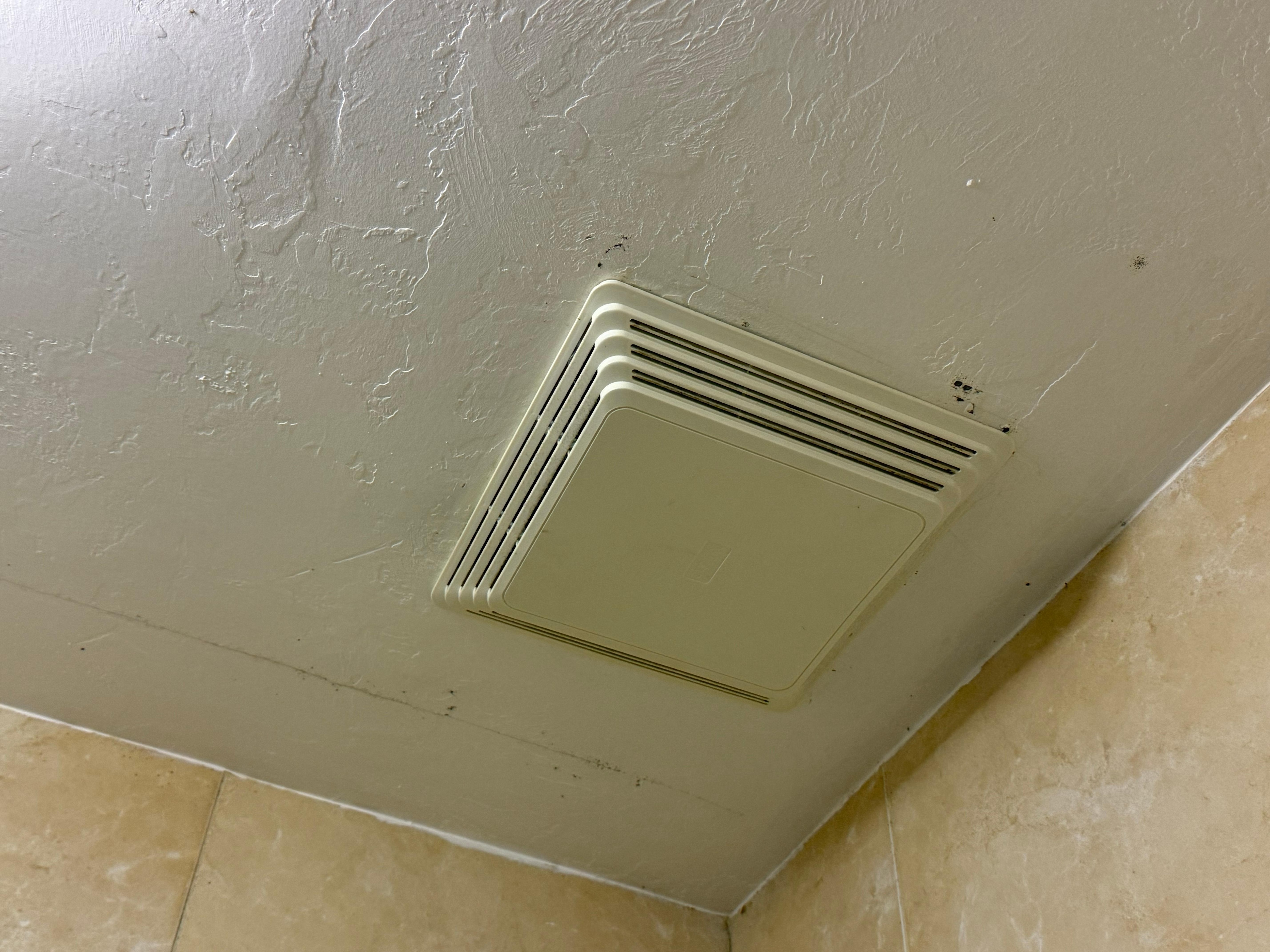 Patches of black mold on bathroom ceiling