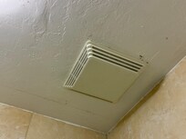 Patches of black mold on bathroom ceiling