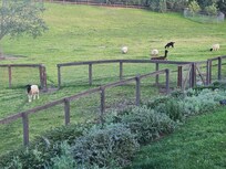 Just one of the many beautiful views.