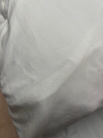 Hair on pillows that had replaced worse ones