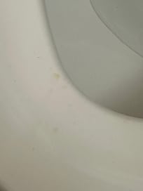 I wish I could upload the video.