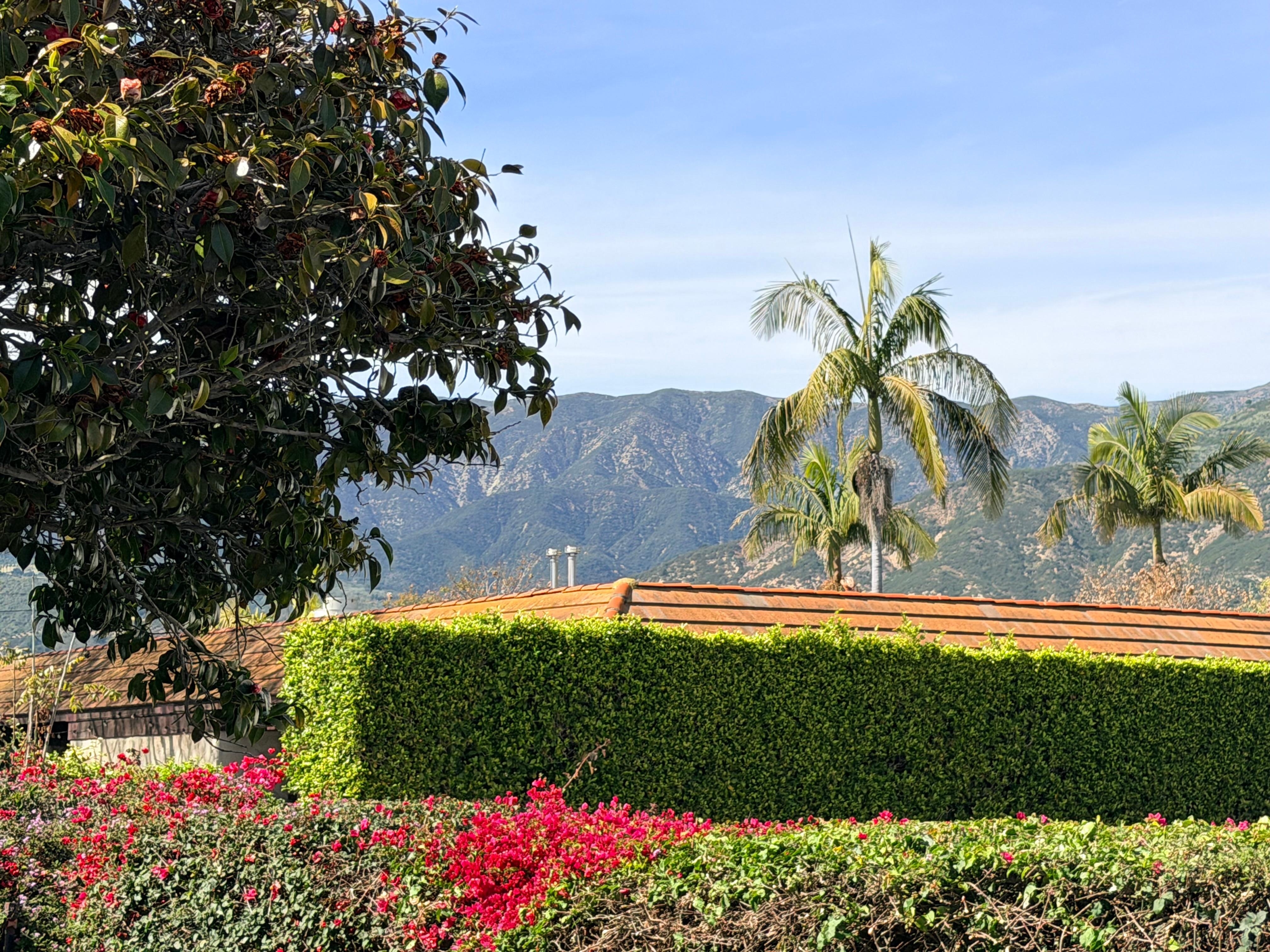 View from front door