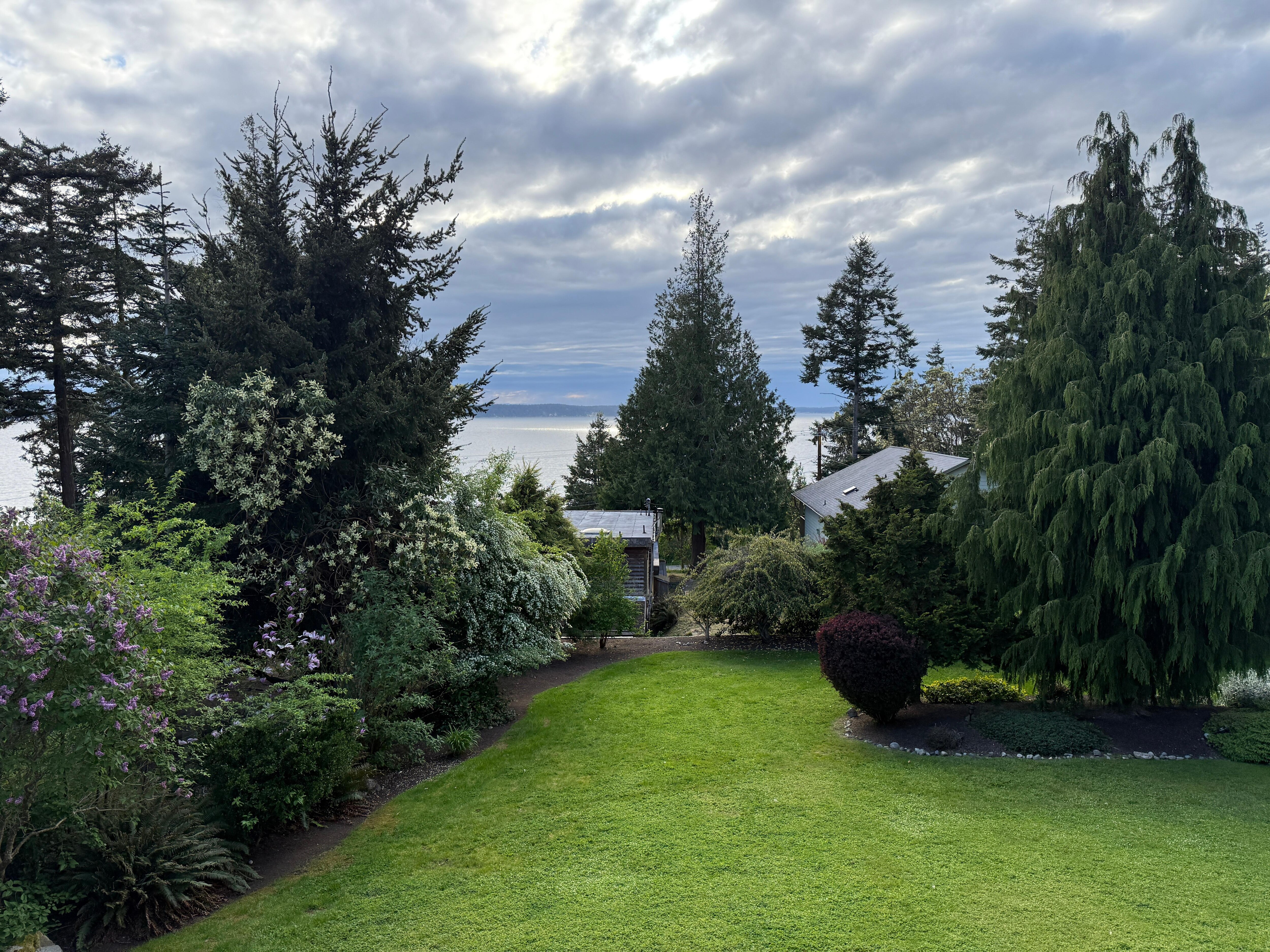 View from the back deck. 