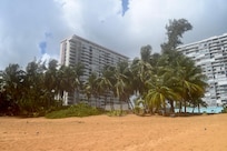 View from the beach area. The grove of palm trees was my favorite place to sit.