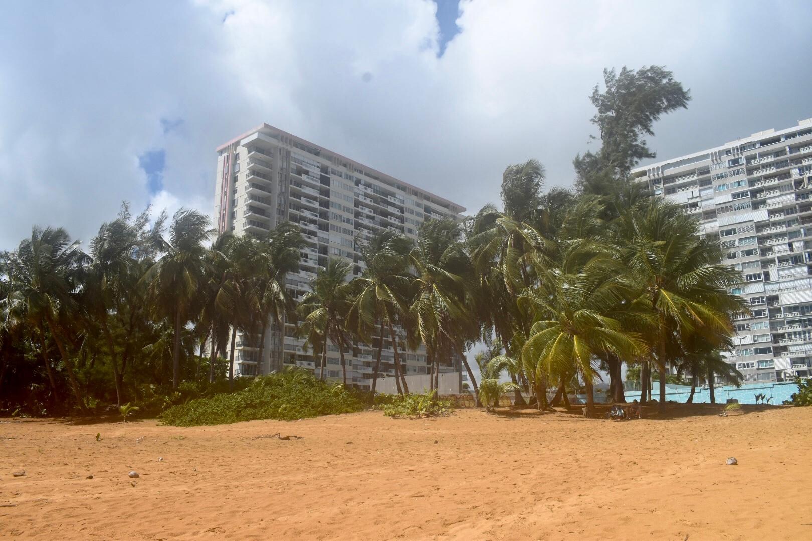 View from the beach area. The grove of palm trees was my favorite place to sit.