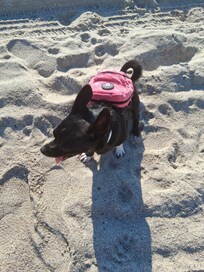 Luna Girl