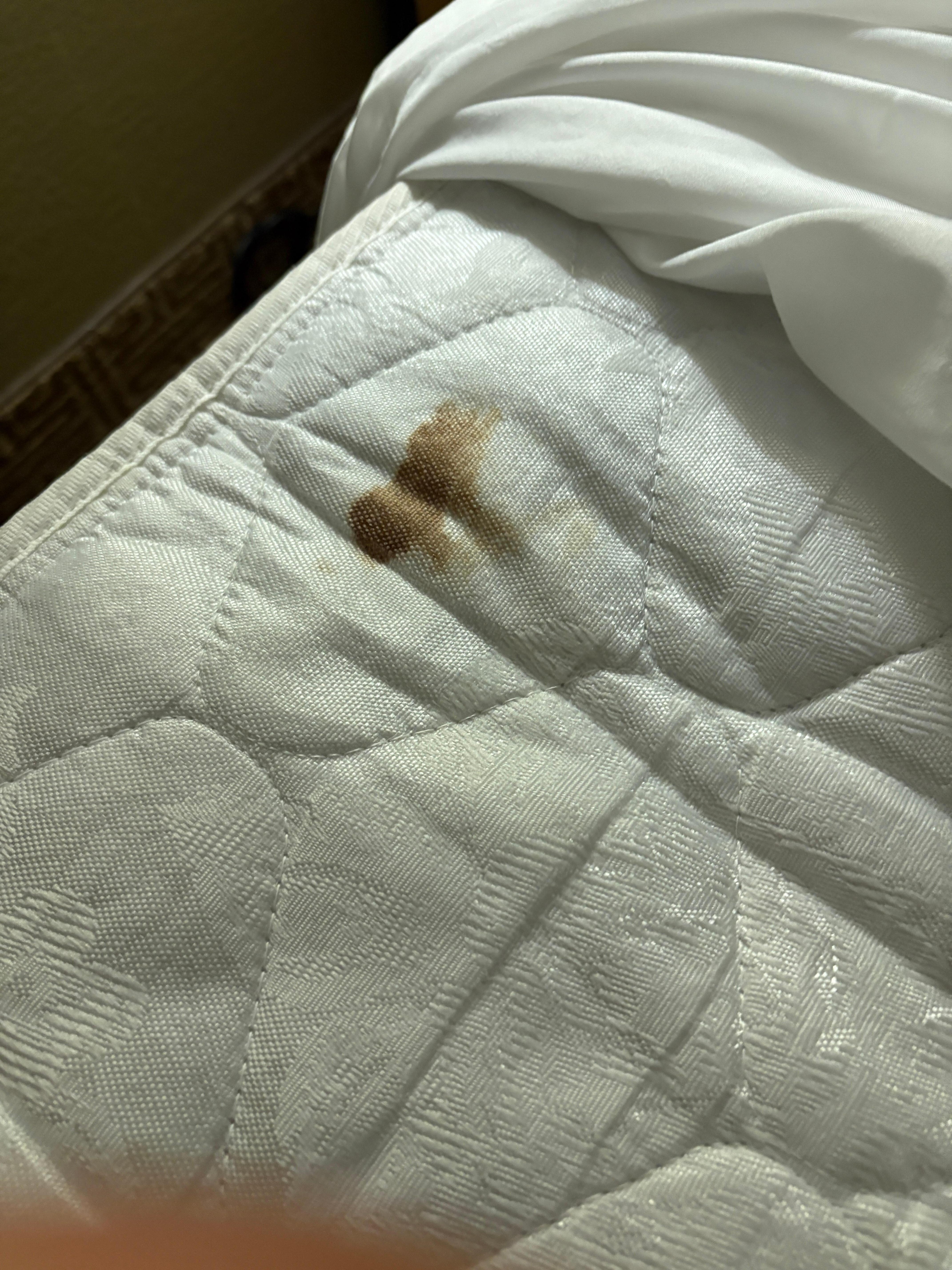 Some type of stain on the pull out couch/bed😬