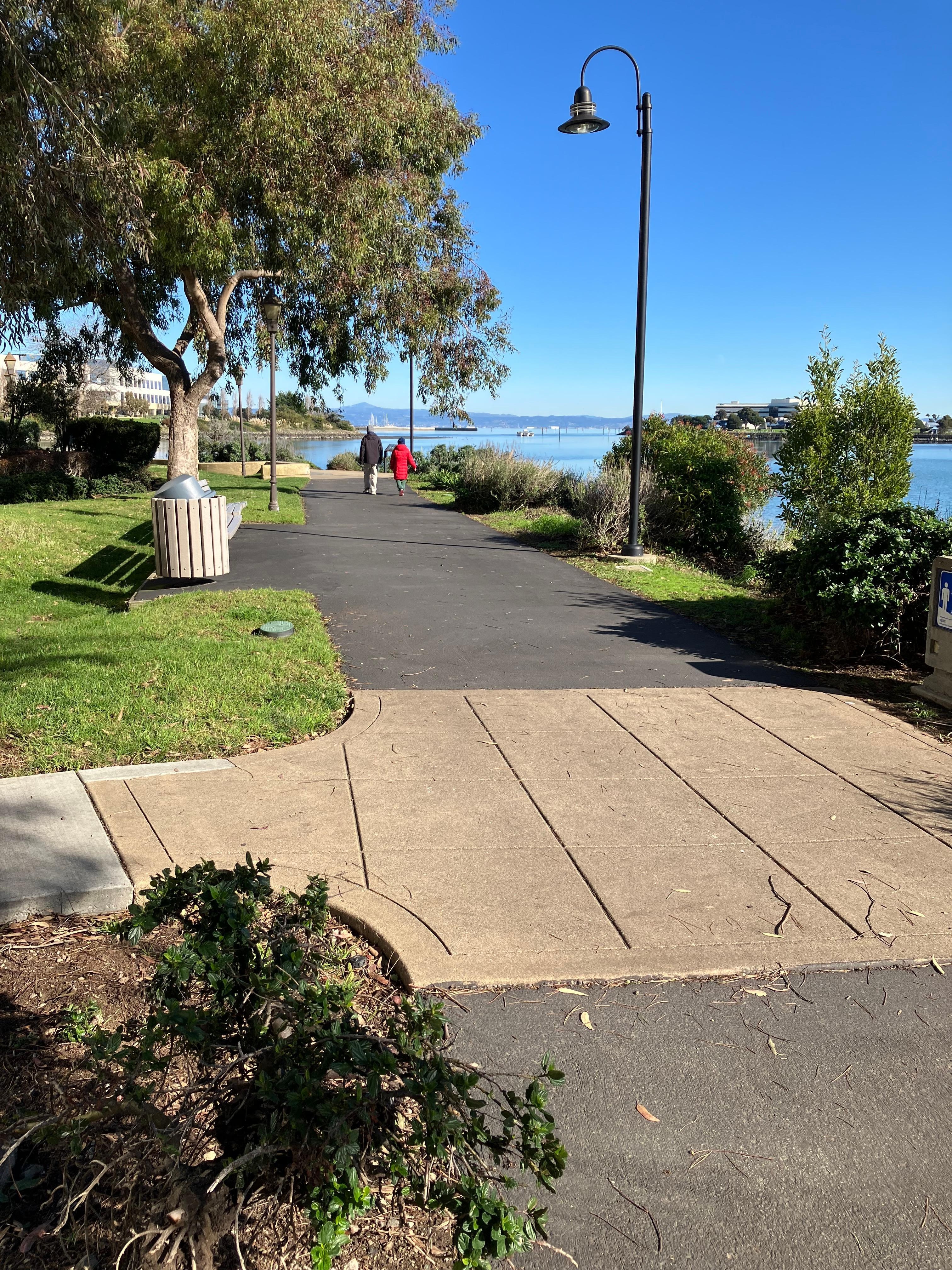 In back of the hotel, the bay trail is that path, bikers, runners, walkers, dog walkers.