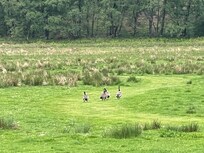Lake opposite the property