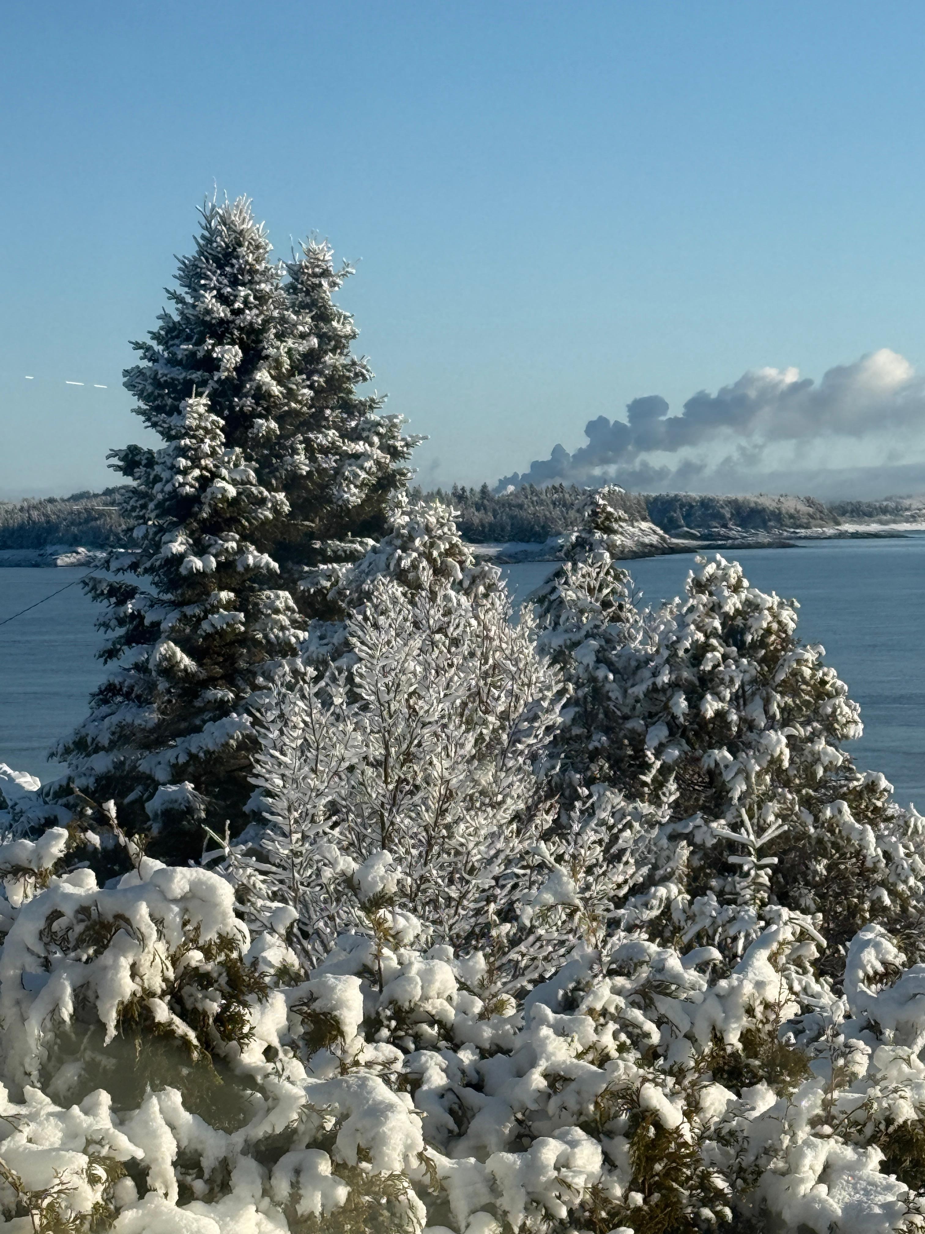 Views from the living area and master bedroom