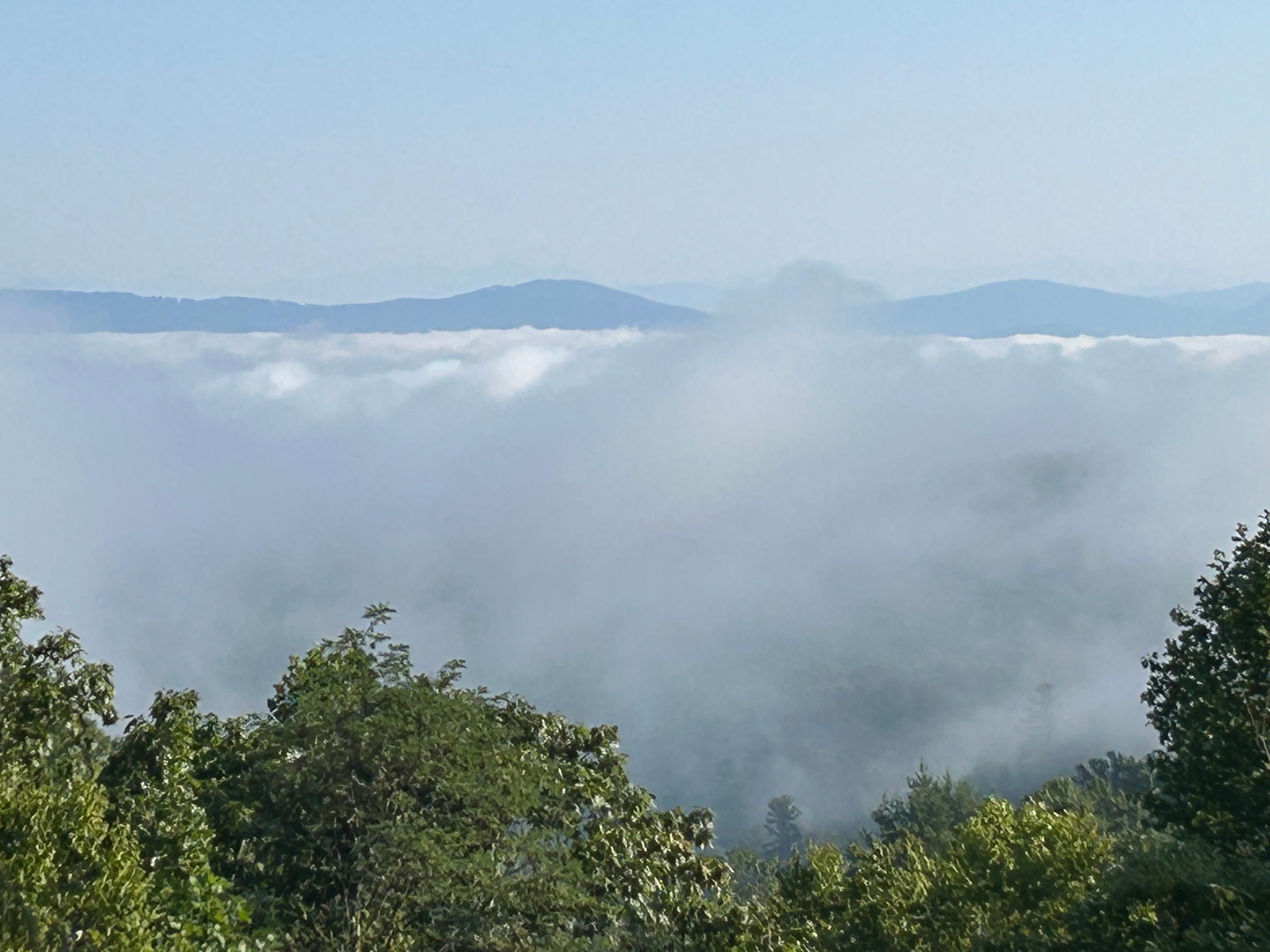 View from back deck.