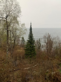 View from living room