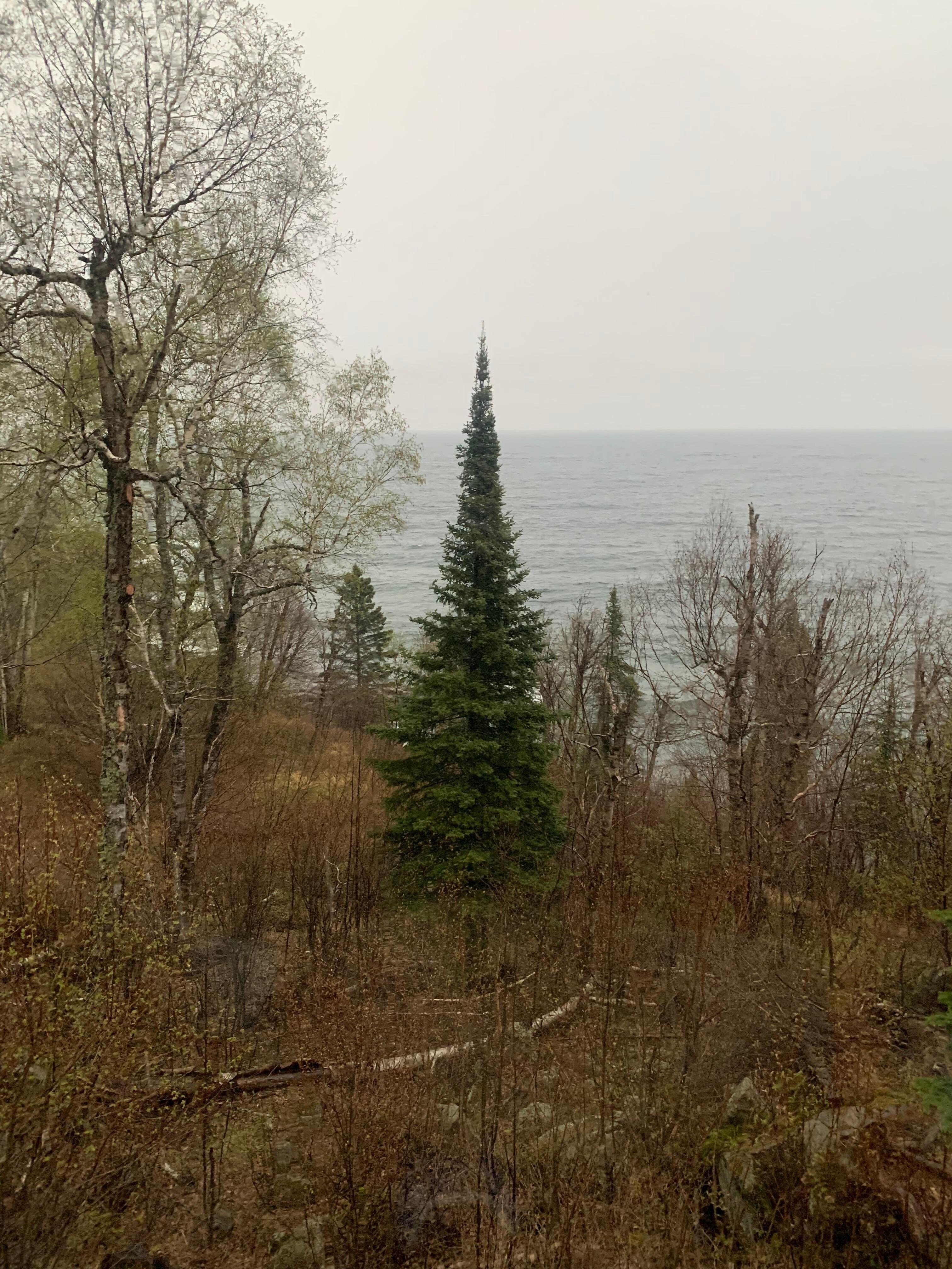 View from living room 