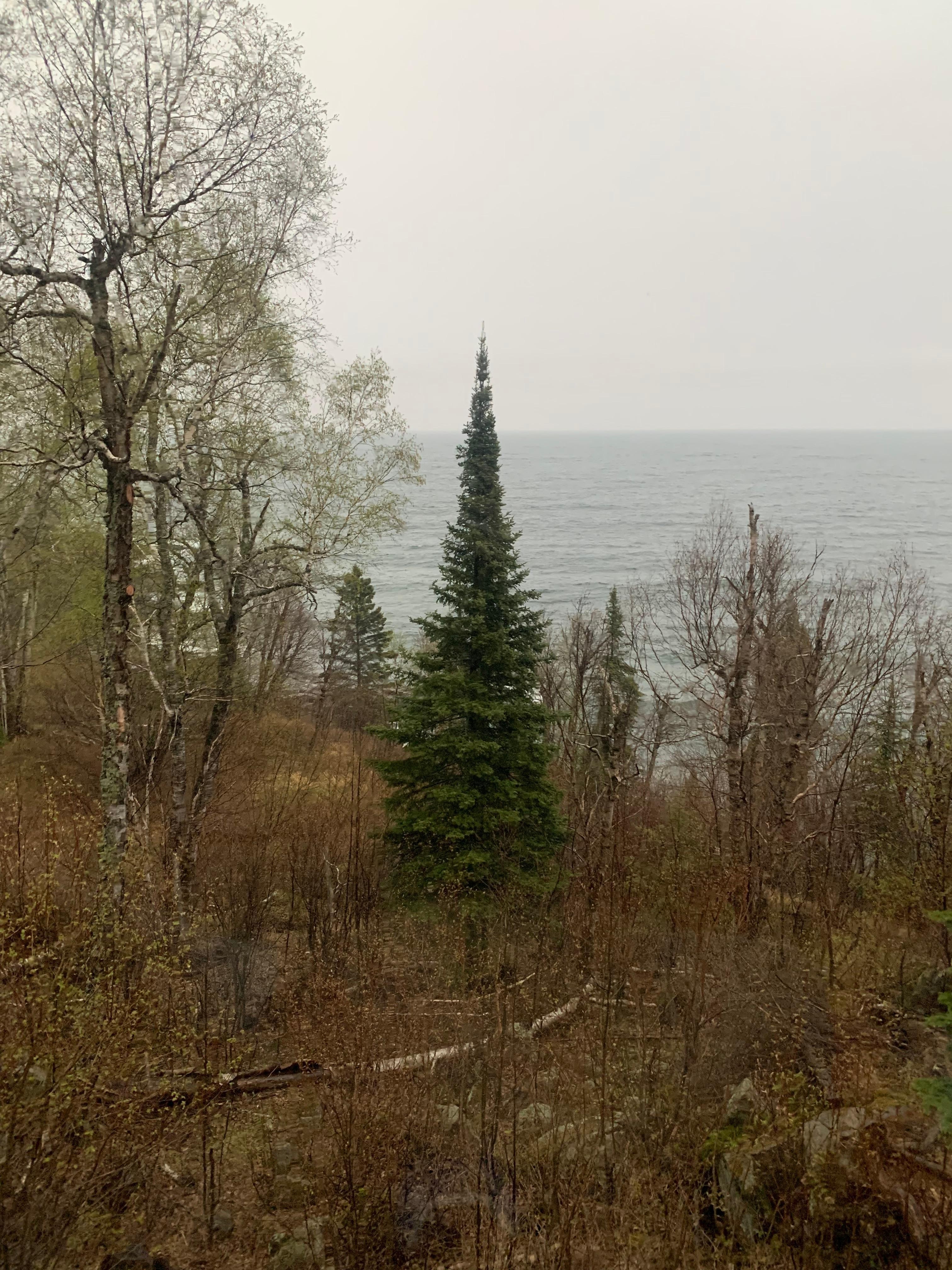 View from living room