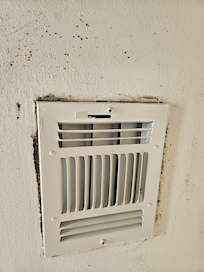 Mold in guest bathroom