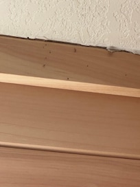 Bugs in room