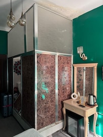 Even more mold on the ceiling and the leaking shower