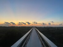 Beach walk