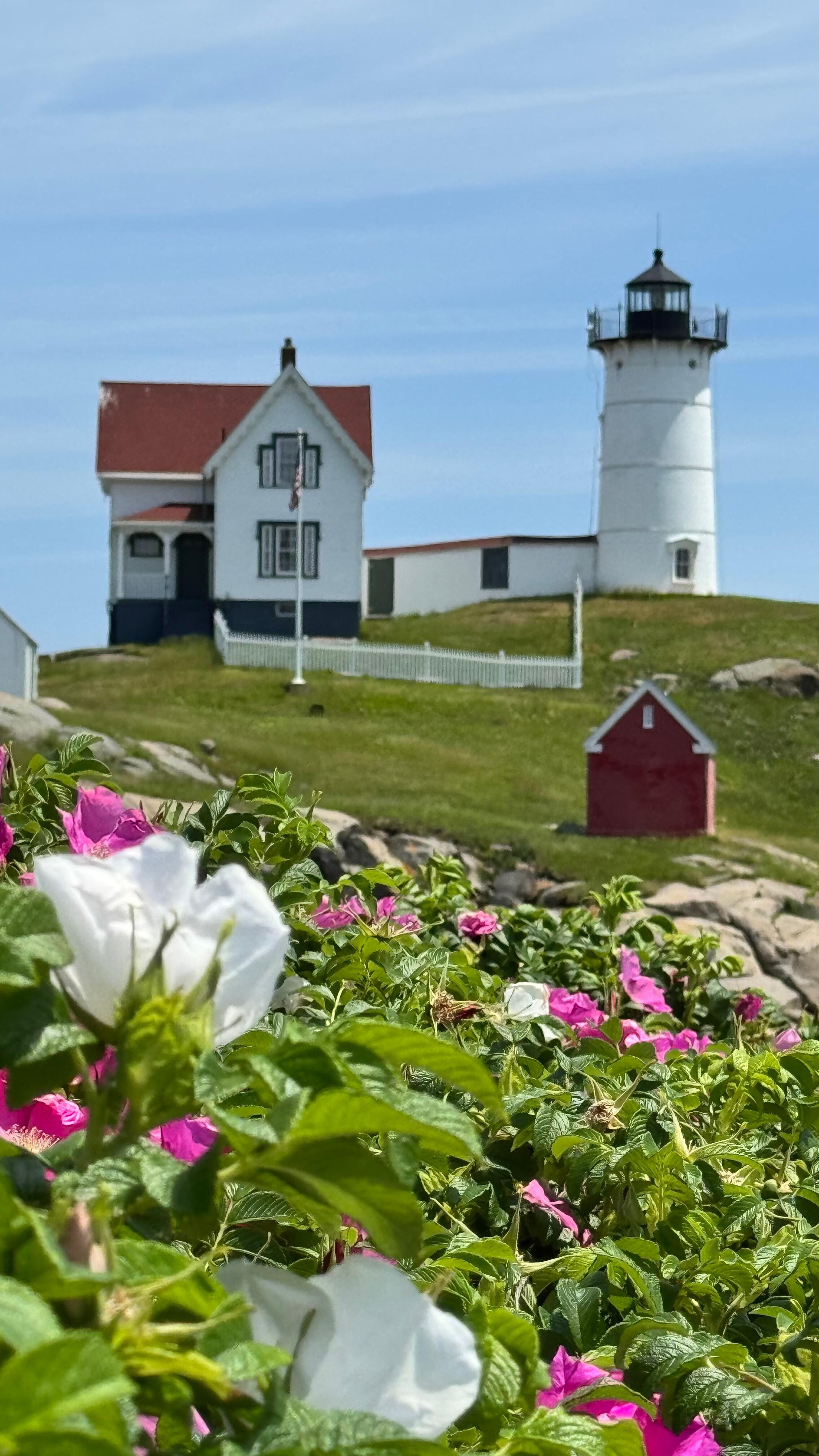One of many lighthouses 