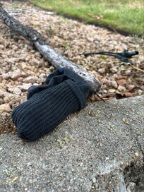 someone's sock in the backyard