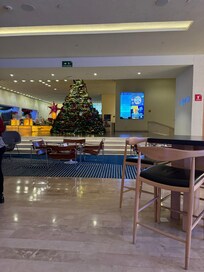 Their Christmas tree