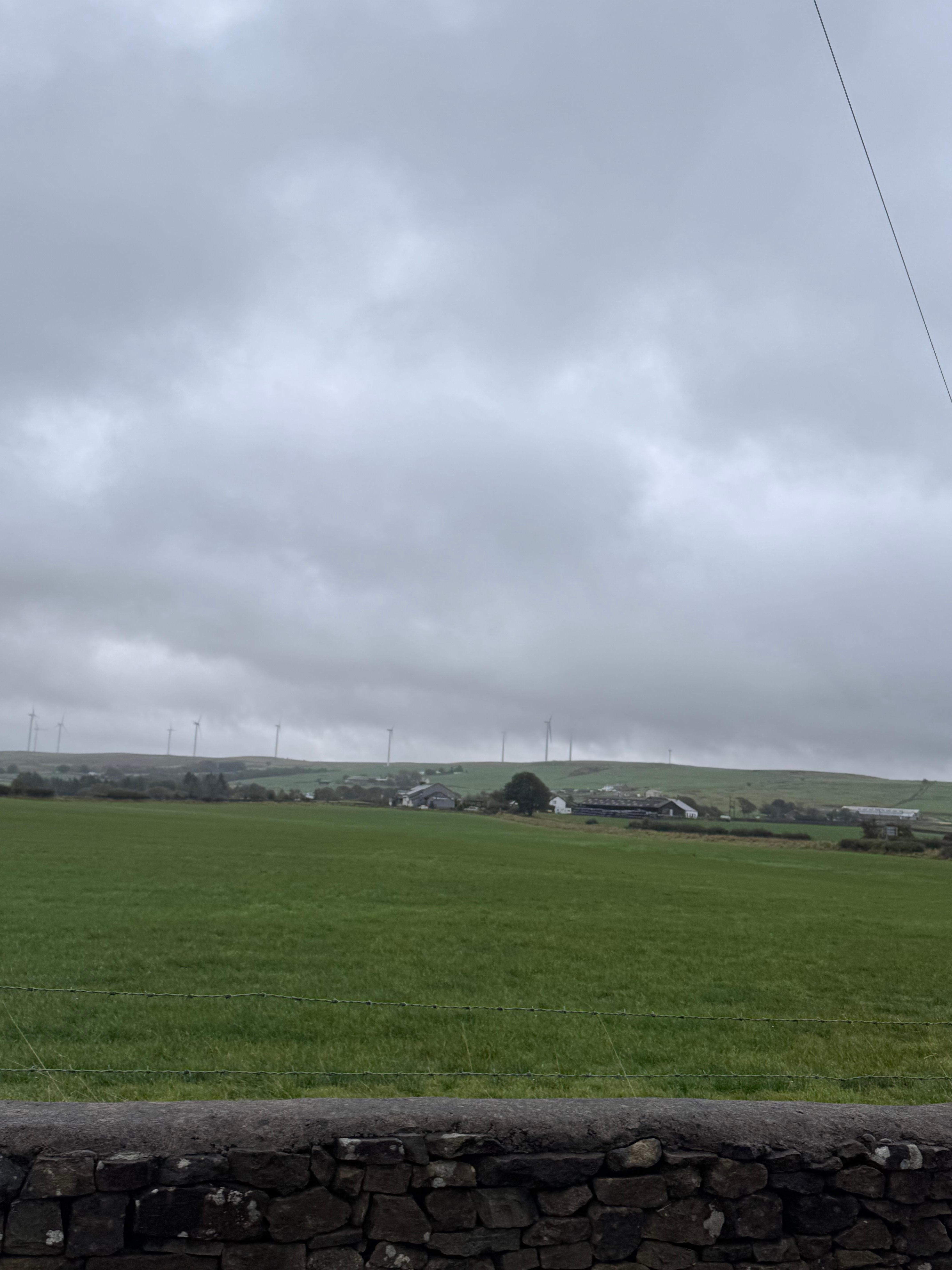 Day after the storm.