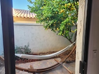 Small patio with beautiful lemon tree